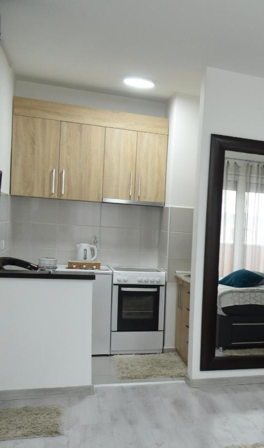 Apartmani Sofronic Loznica 2 ภายนอก รูปภาพ
